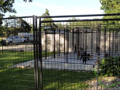 Equine,  Kennel, Boarding  Property , Outbuilding, Home,Pond - image 34