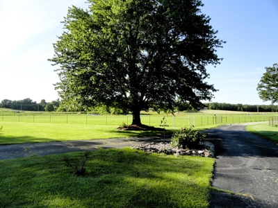 Equine,  Kennel, Boarding  Property , Outbuilding, Home,Pond - image 18