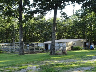 Equine,  Kennel, Boarding  Property , Outbuilding, Home,Pond - image 32