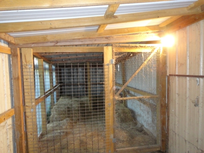 Equine,  Kennel, Boarding  Property , Outbuilding, Home,Pond - image 45