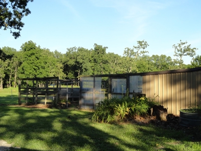 Equine,  Kennel, Boarding  Property , Outbuilding, Home,Pond - image 48