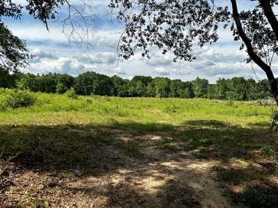 Land for sale Hartford, AL - image 13