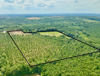 Land for sale Hartford, AL - image 22