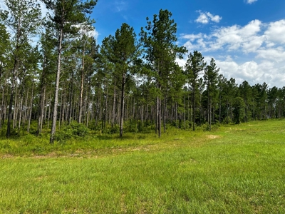 Land for sale Hartford, AL - image 15