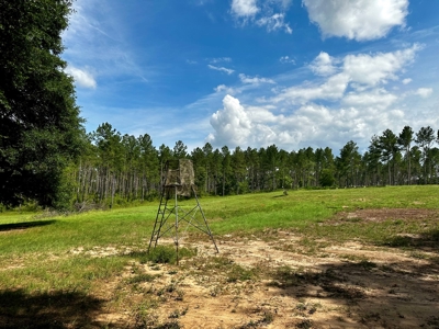 Land for sale Hartford, AL - image 10