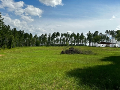 Land for sale Hartford, AL - image 16