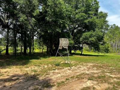Land for sale Hartford, AL - image 7
