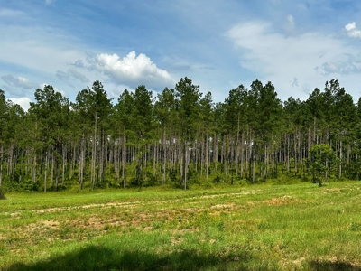 Land for sale Hartford, AL - image 2