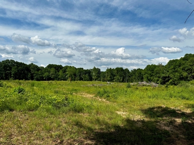 Land for sale Hartford, AL - image 14