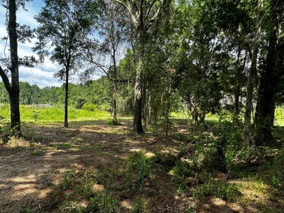 Land for sale Hartford, AL - image 12