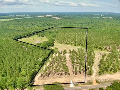 Land for sale Hartford, AL - image 21