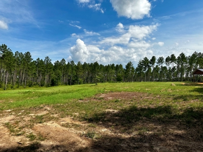 Land for sale Hartford, AL - image 8