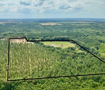 Land for sale Hartford, AL - image 19