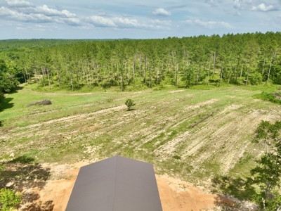 Land for sale Hartford, AL - image 3