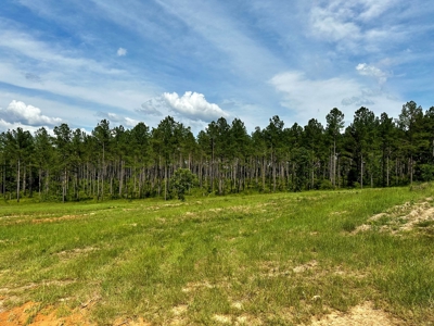 Land for sale Hartford, AL - image 5