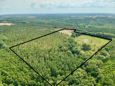 Land for sale Hartford, AL - image 20