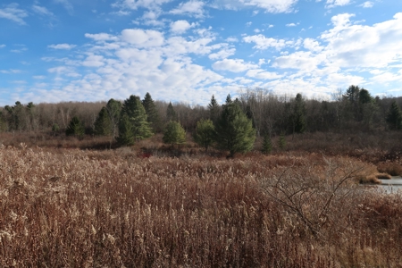 3 Acre Building Lot in Oxford New York - image 5