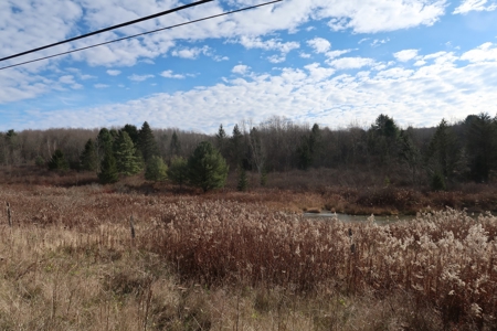 3 Acre Building Lot in Oxford New York - image 1