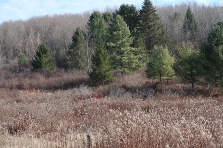 3 Acre Building Lot in Oxford New York - image 6