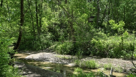 River Front Cabin on 67 acres discovered - image 46