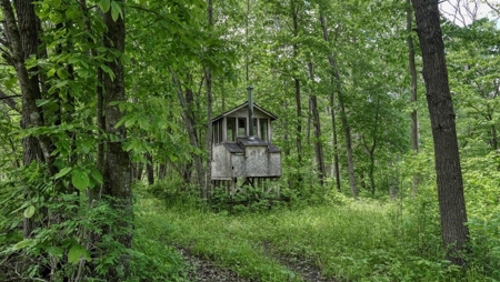 River Front Cabin on 67 acres discovered - image 44