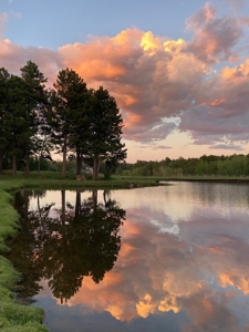 Perfect Location - image 16