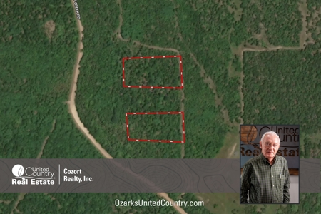 Acreage for Sale in Mammoth Spring Arkansas - image 1