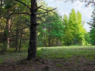 ±24.1 Acres Of East Texas Land With Insulated Shop And Pond - image 21