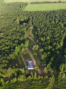 ±24.1 Acres Of East Texas Land With Insulated Shop And Pond - image 25