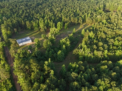 ±24.1 Acres Of East Texas Land With Insulated Shop And Pond - image 28