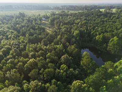 ±24.1 Acres Of East Texas Land With Insulated Shop And Pond - image 24