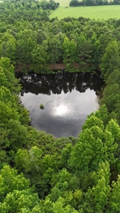 ±24.1 Acres Of East Texas Land With Insulated Shop And Pond - image 30