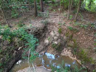 ±24.1 Acres Of East Texas Land With Insulated Shop And Pond - image 14