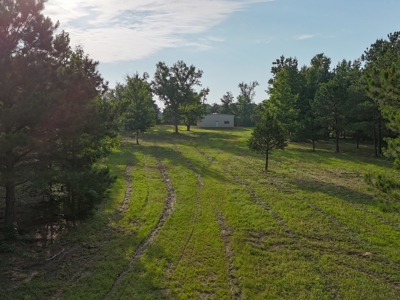 ±24.1 Acres Of East Texas Land With Insulated Shop And Pond - image 19