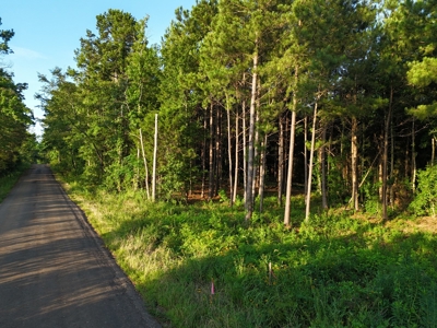 ±24.1 Acres Of East Texas Land With Insulated Shop And Pond - image 29