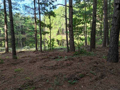 ±24.1 Acres Of East Texas Land With Insulated Shop And Pond - image 16