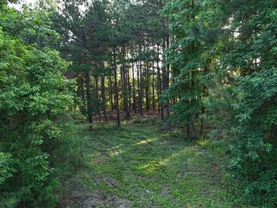 ±24.1 Acres Of East Texas Land With Insulated Shop And Pond - image 22