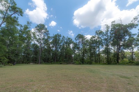 Home On 10 Acres In North Florida - image 9