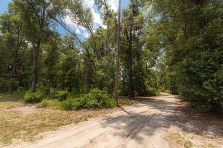 Home On 10 Acres In North Florida - image 1