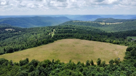 63+ Acres Mountain Property Newton County  Land For Sale - image 1