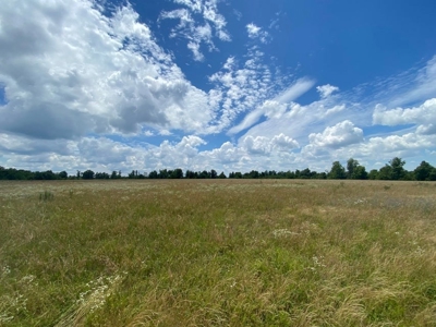 63+ Acres Mountain Property Newton County  Land For Sale - image 3