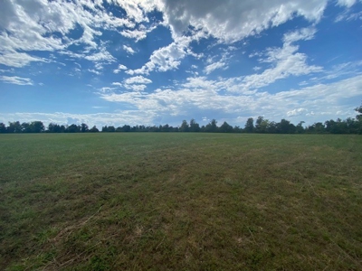 63+ Acres Mountain Property Newton County  Land For Sale - image 19