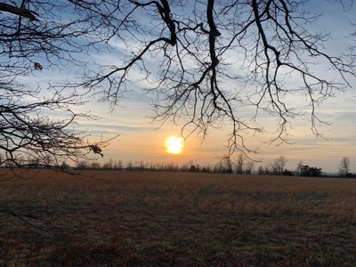 63+ Acres Mountain Property Newton County  Land For Sale - image 12