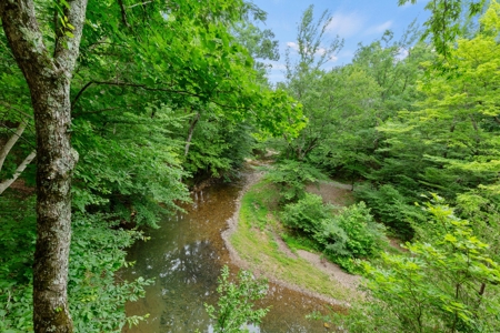 Two homes and three cabins on live year round creek in Shady - image 13