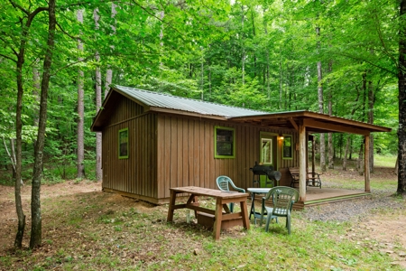 Two homes and three cabins on live year round creek in Shady - image 10