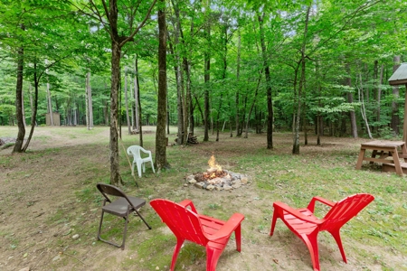 Two homes and three cabins on live year round creek in Shady - image 8