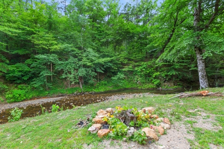 Two homes and three cabins on live year round creek in Shady - image 41