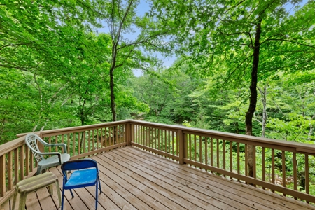 Two homes and three cabins on live year round creek in Shady - image 12