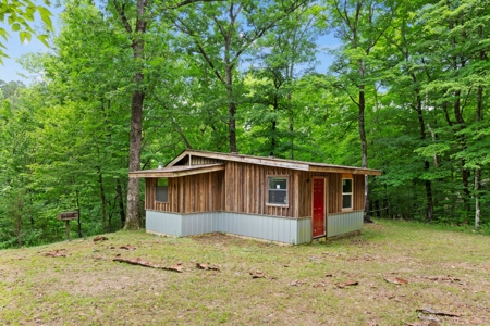 Two homes and three cabins on live year round creek in Shady - image 26