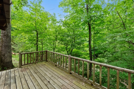 Two homes and three cabins on live year round creek in Shady - image 23